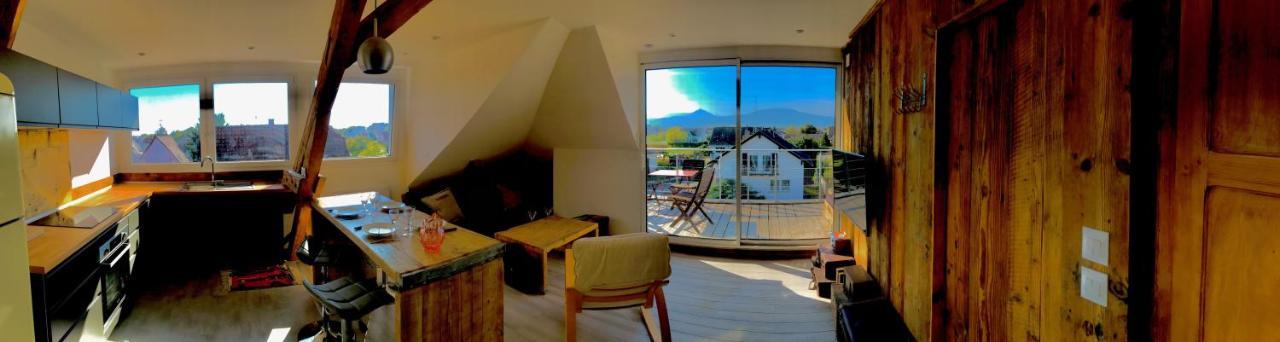 Appartement Chaleureux Et Lumineux Avec Vue ! Au Centre Alsace Selestat Exterior photo